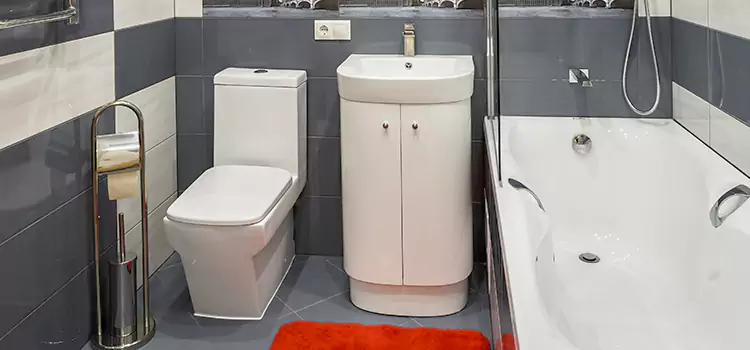 Hansgrohe Shaving Mirror Glendora